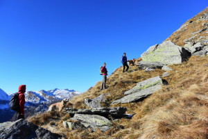 zum kleinen Gurpitscheck