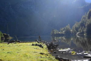 Morgenstimmung am Lanschitzsee