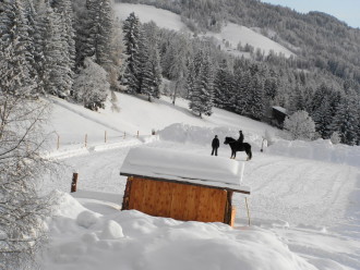 reiten im Viereck