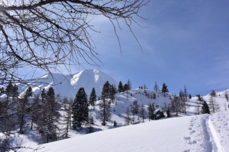 Blick zu Weisseneck