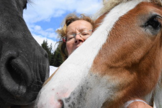 mit den Pferden auf der Alm