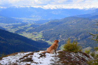 Blick in den Lungau