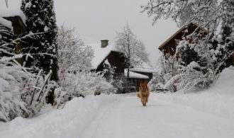 Freude über den Schnee