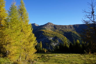 Herbststimmung