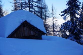 zugedeckt mit Schnee