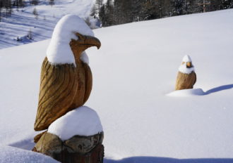 "Holzsteinadler"