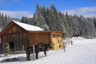 erster Wintergenuß