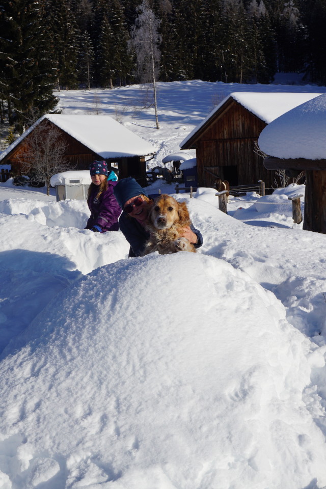 Loki im Schnee