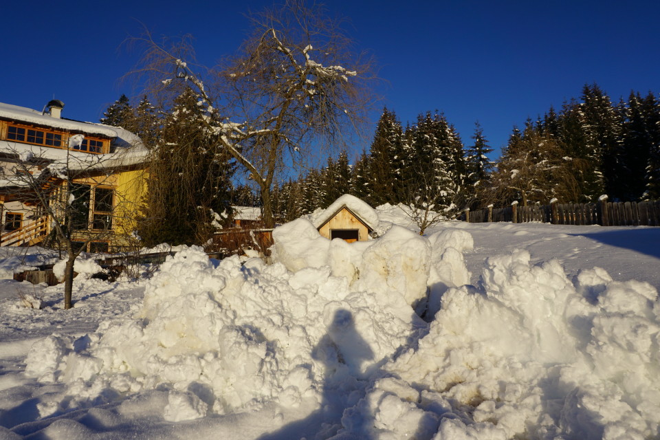 Entenvilla im Schnee