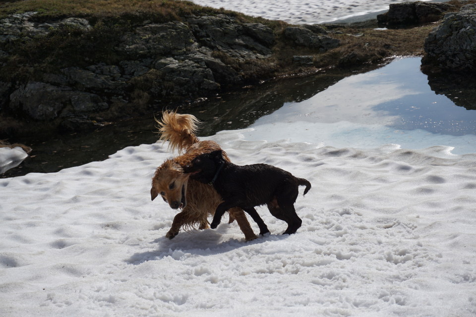 Gerangel im Schnee, 1.Juli