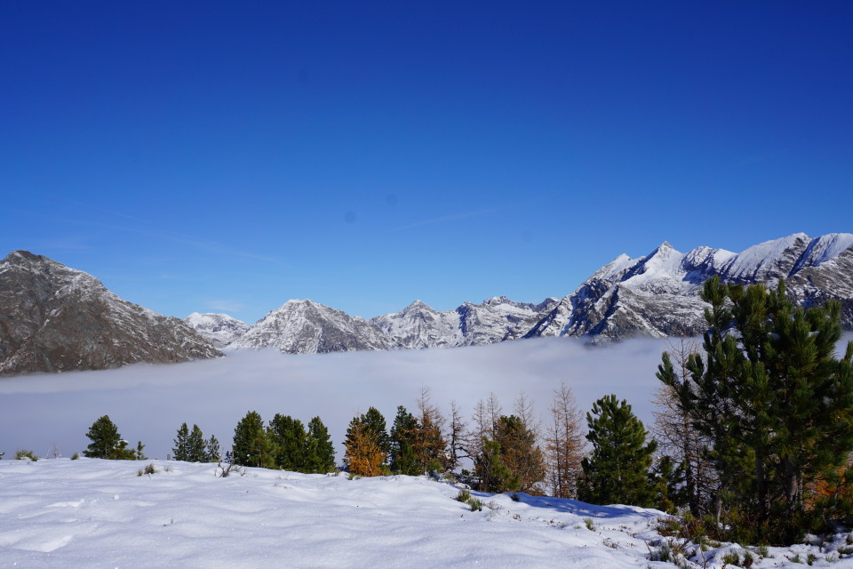 Blick ins Weißpriachtal