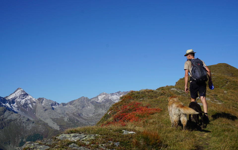 Richtung Kareck im September