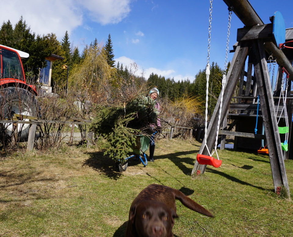 Gartenarbeit