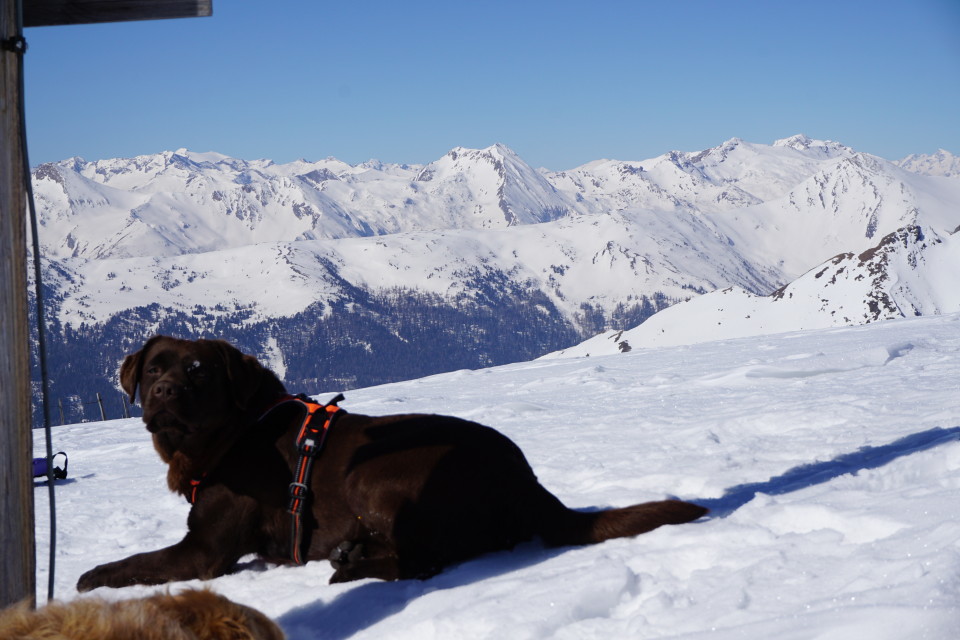 Gensgitsch-Blick nach Westen