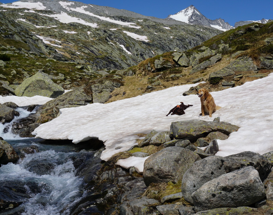 zur Villacherhütte, Maltatal