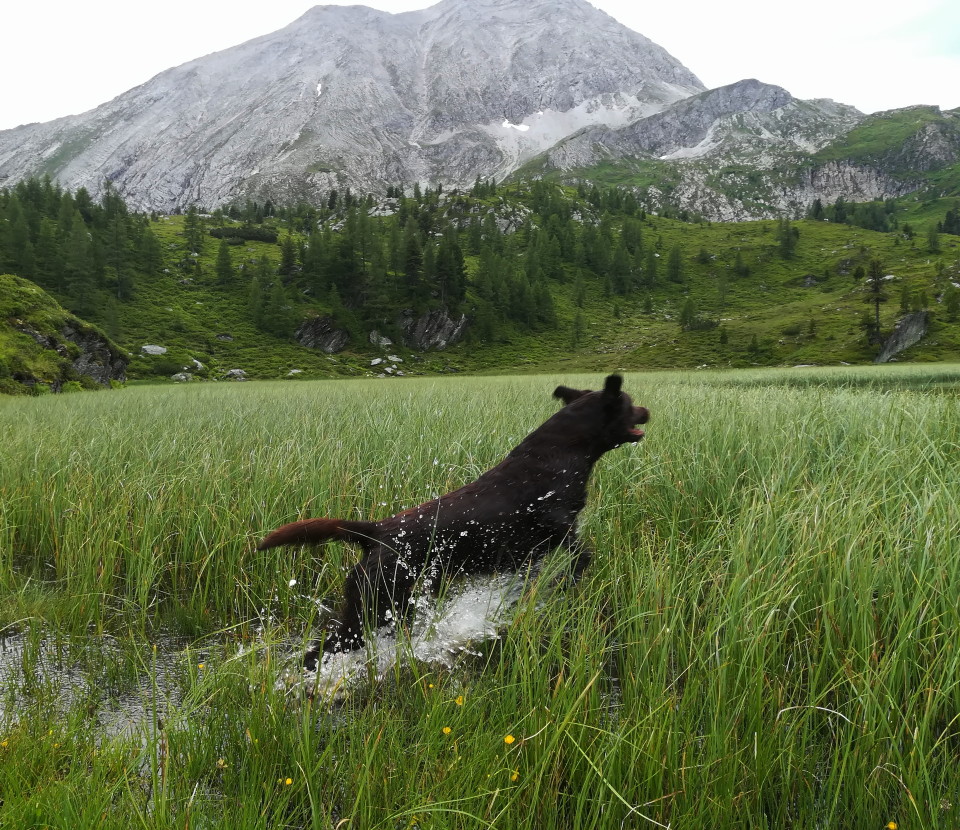 ab ins Wasser