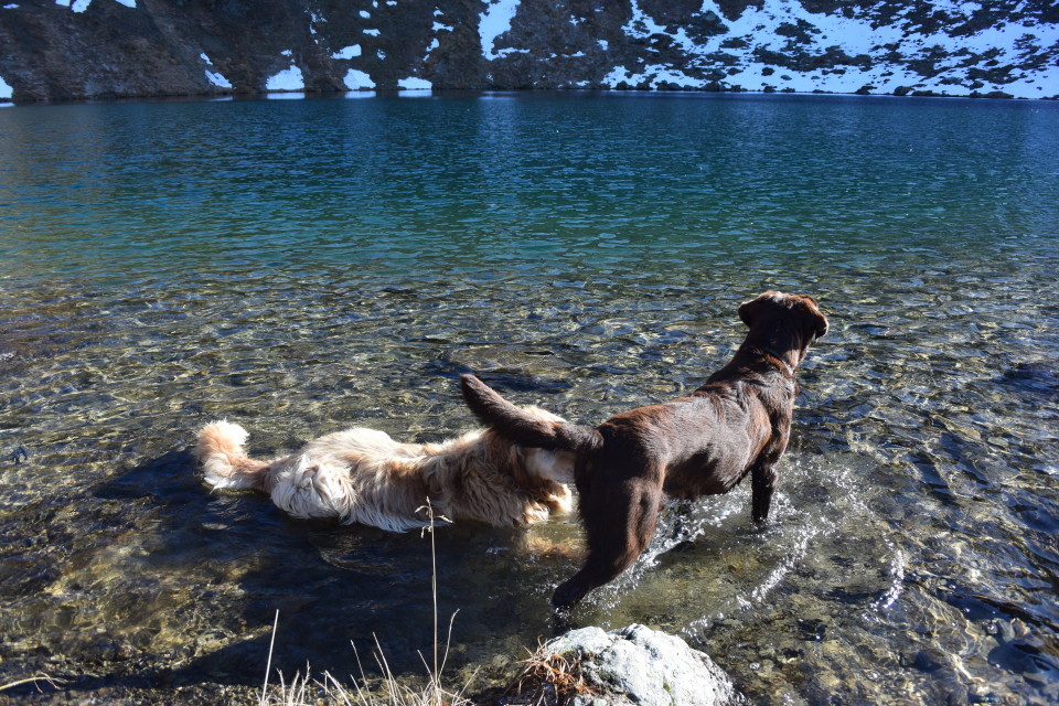 letztes Bad im Twengeralmsee