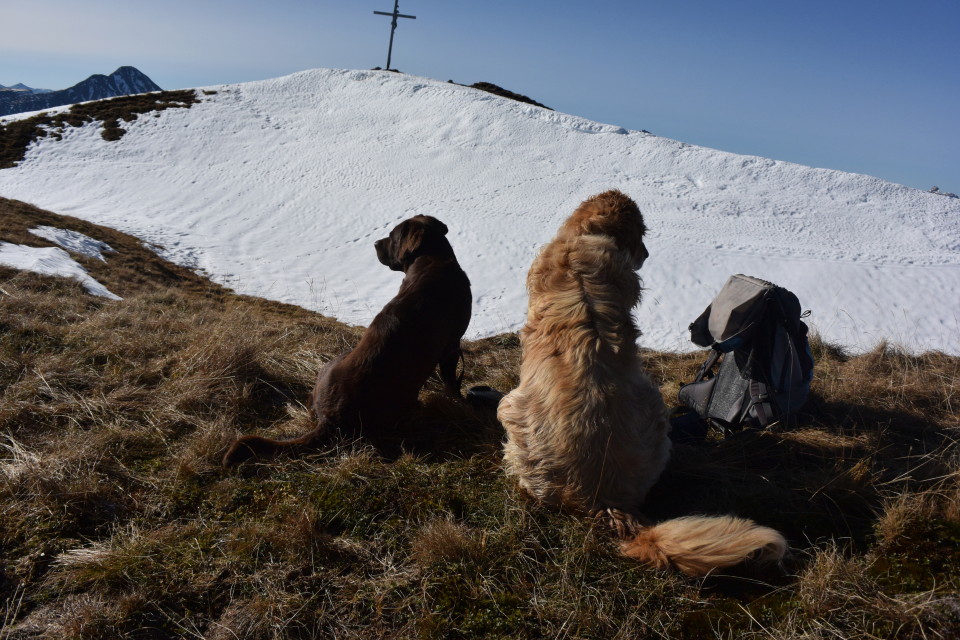 wessen Rucksack vor der Golitschspitze?