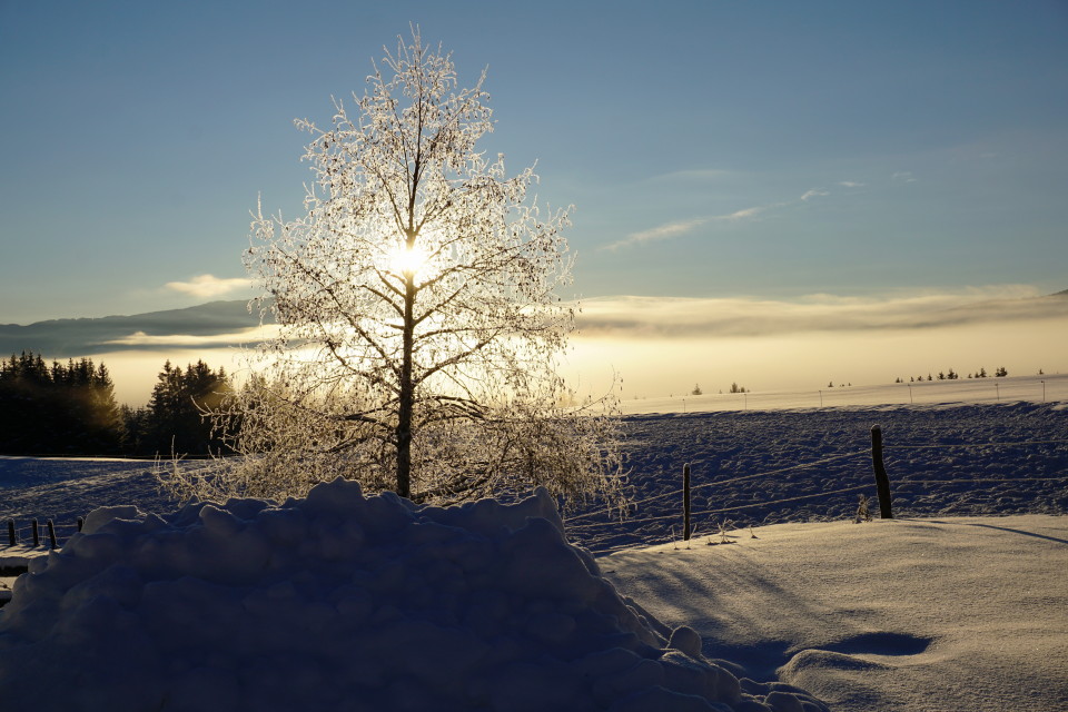 prachtvoller Wintermorgen