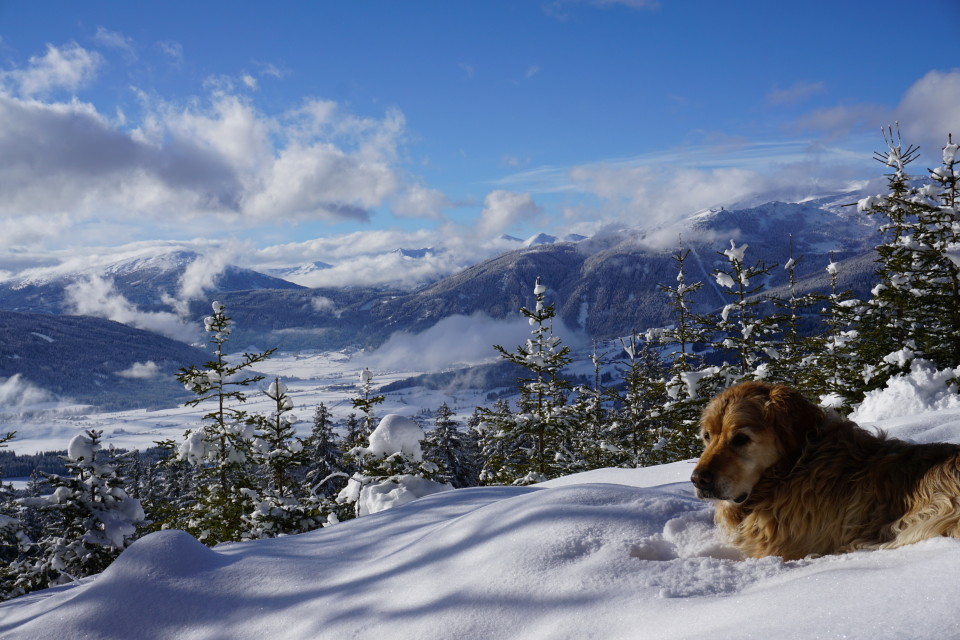 Blick von Pirka Richtung Mauterndorf