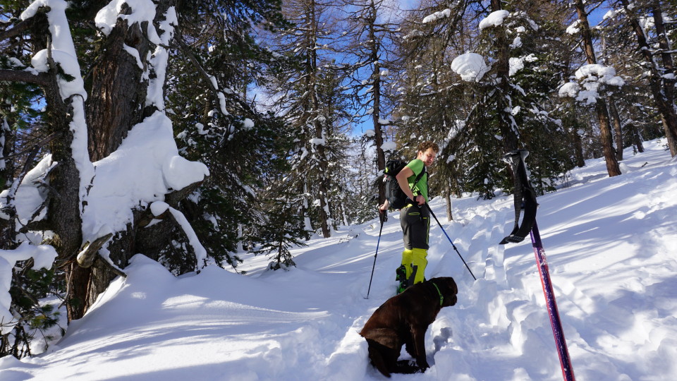 Tourenspur am Fanningberg