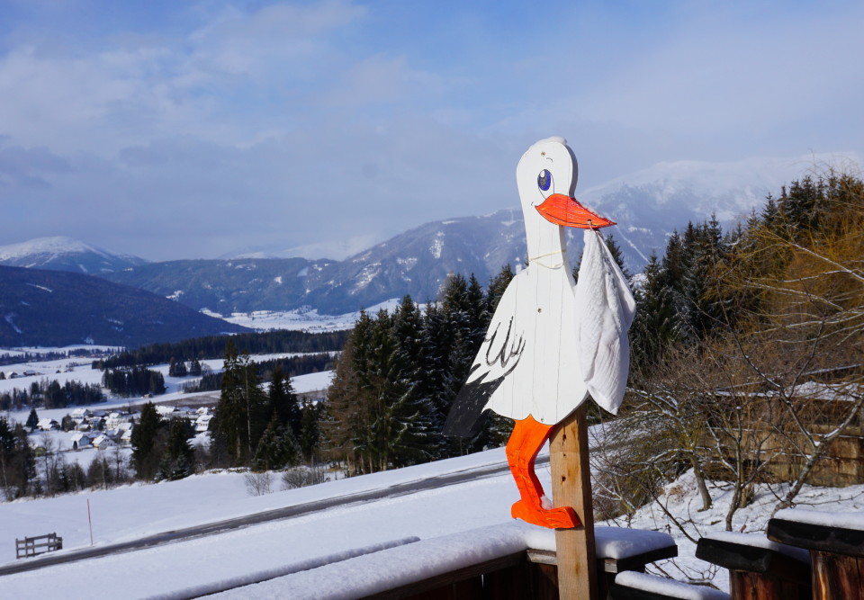 Storch gelandet