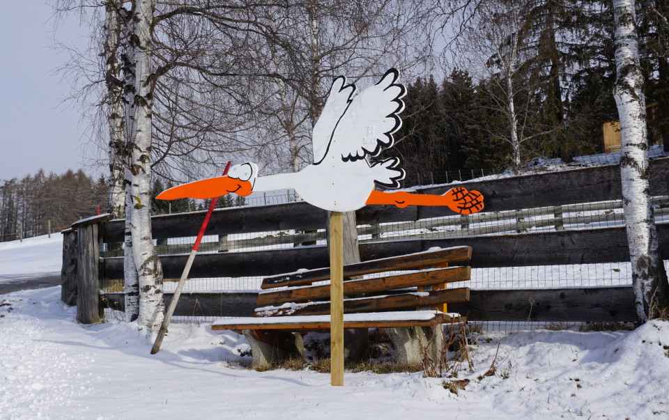 Storch im Anflug