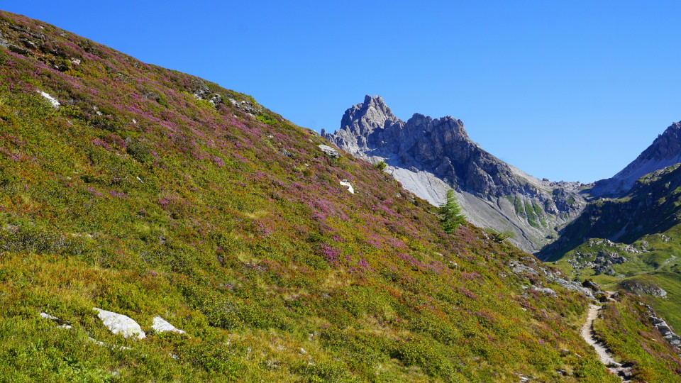 Blick zum Faulkogel