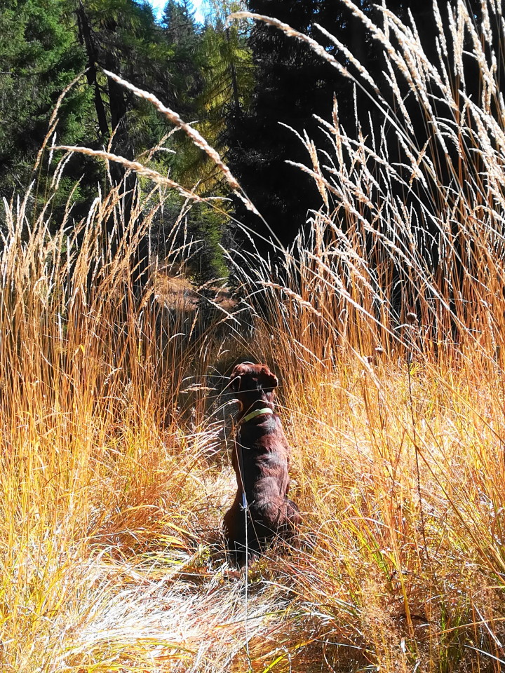 Spaziergang im Oktober