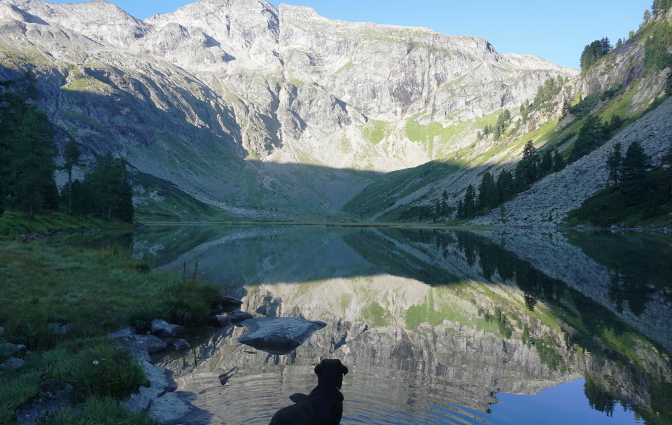 Spiegelung der Kaltenwandspitze im Karwassersee