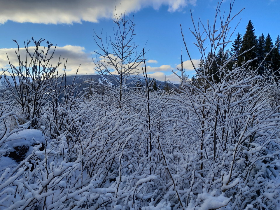 erster Wintereinbruch