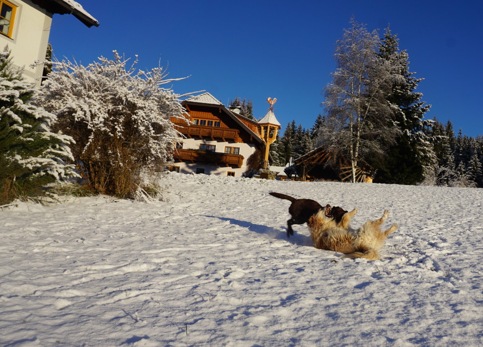 Raufbolde im Schnee