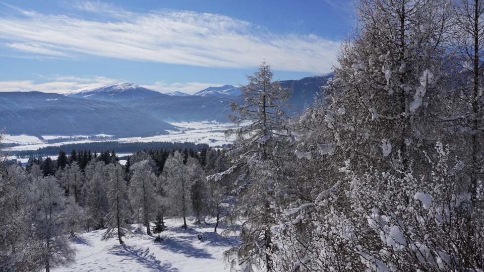 Aussicht ins Taurachtal