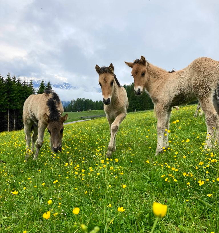 eindeutig Frühling :-)