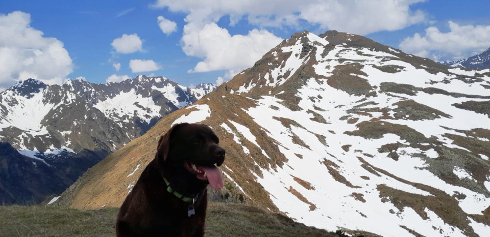 7.Juni, auf der Gensgitsch, Blick nach Norden