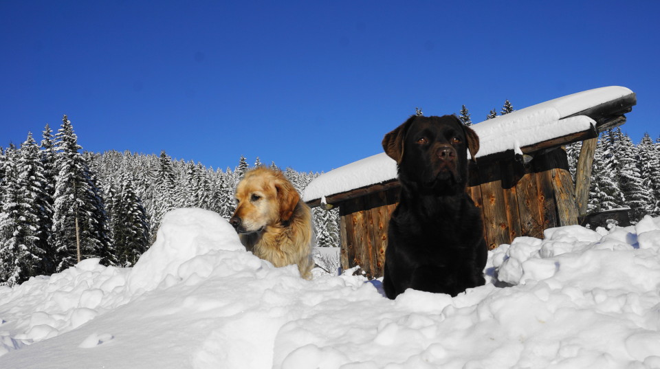 Gelungener Start in den Winter